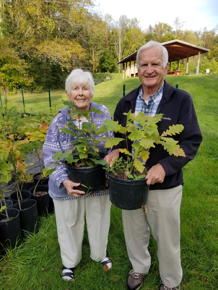An elderly couple with plants