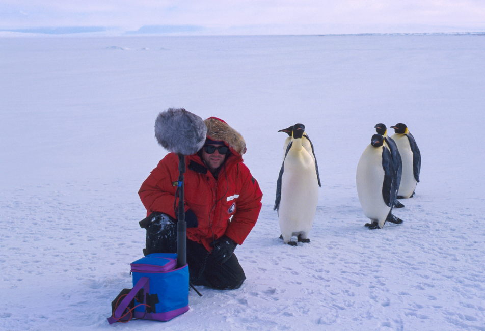 doug quin with penguins in antarctica